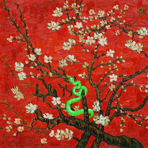 爱啪网在线网站
