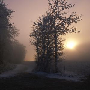 爱啪网在线网站
