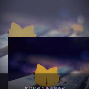 爱啪网在线网站
